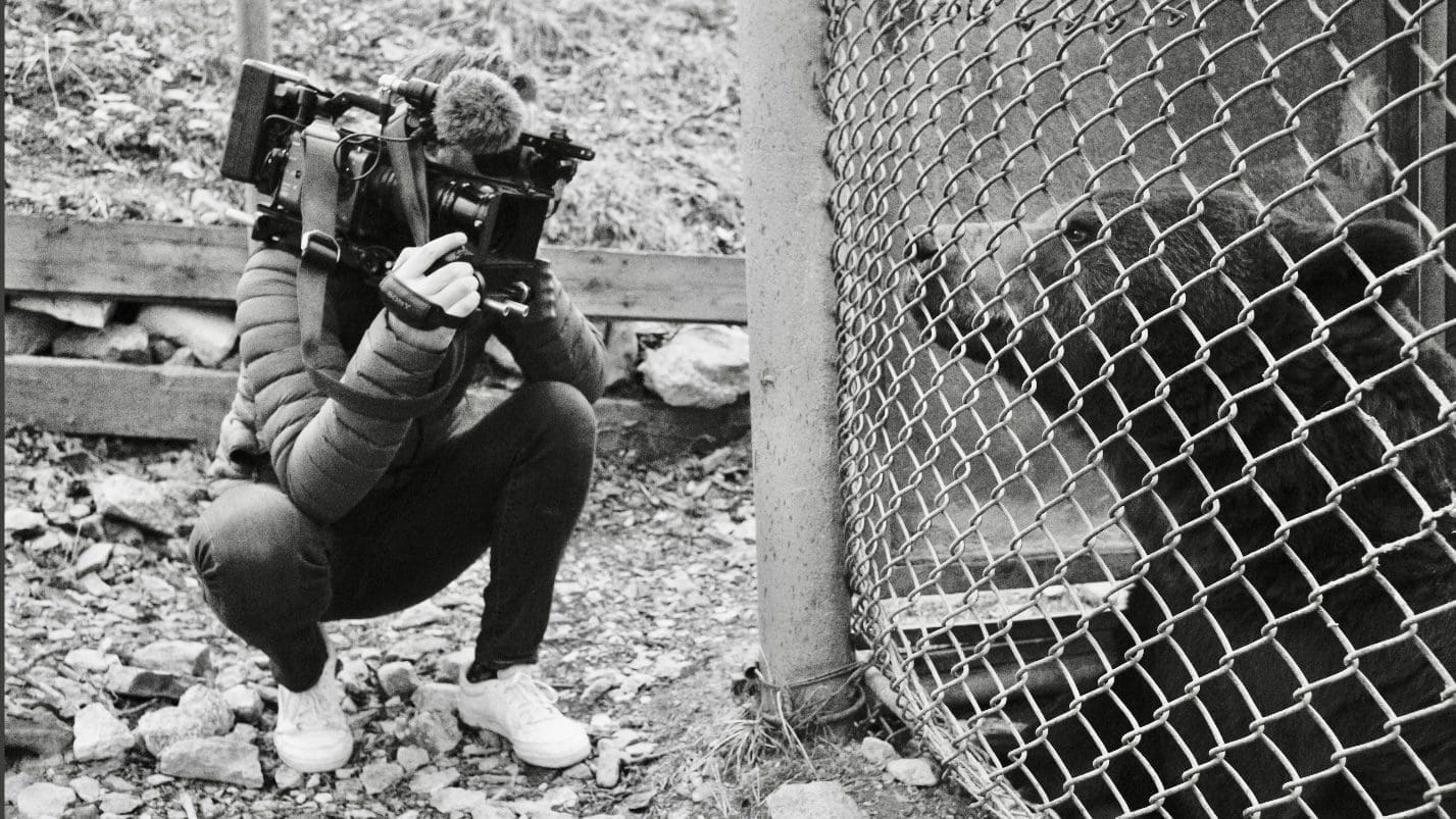 507fe5bd-7778-482d-85fe-8380ac436973