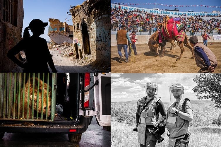 7hdq9lxahmwf-floortje