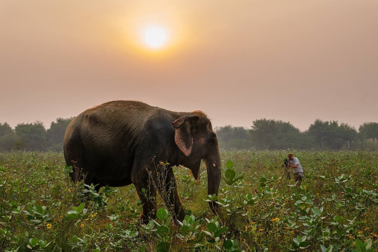 floortje dessing cameraman thomas klomp